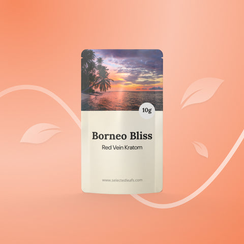 Borneo Bliss